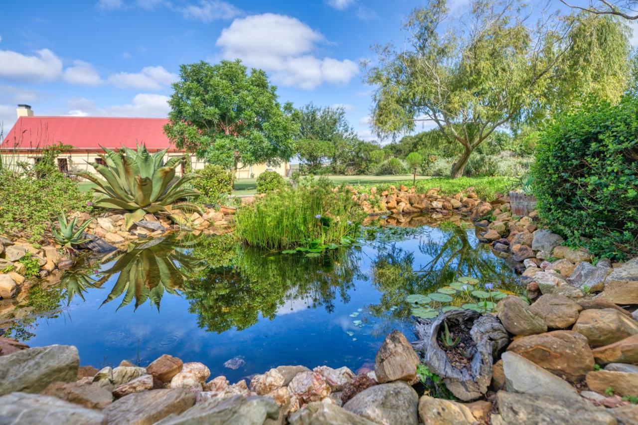 Strandveld Vineyards Cottages Elim  Kültér fotó
